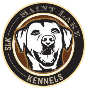 At Saint Lake Kennels, we take pride in our breed of Labradors. The parents are AKC Registered.